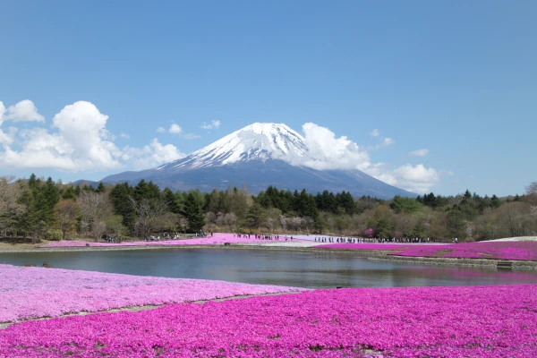 FUJI Round Trip